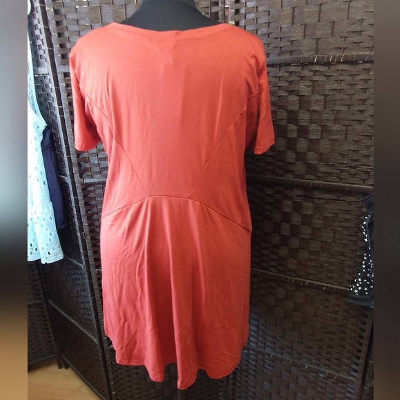 Sz 16 NWT MEASOR Pumpkin Spice Oversized Swing Dress - Picture 2 of 12